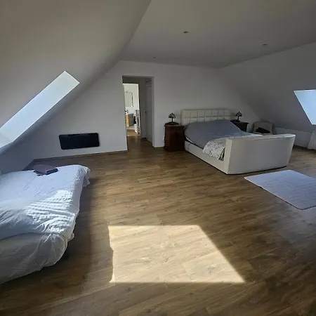 Willowtreegites * Saint-Ovin